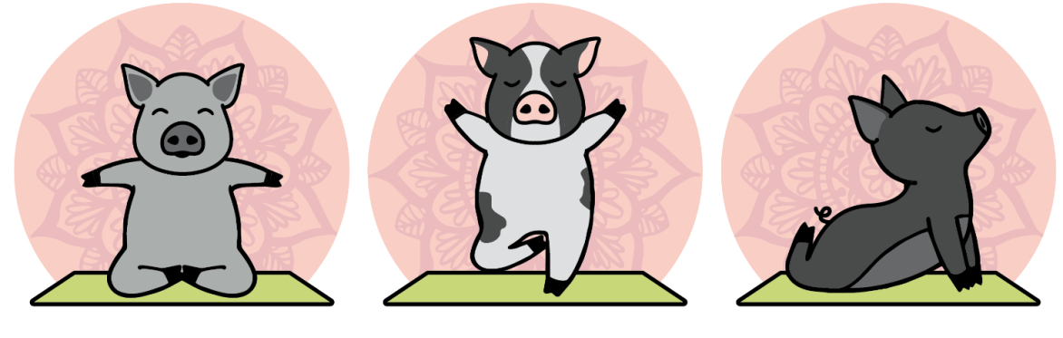 Pig Yoga