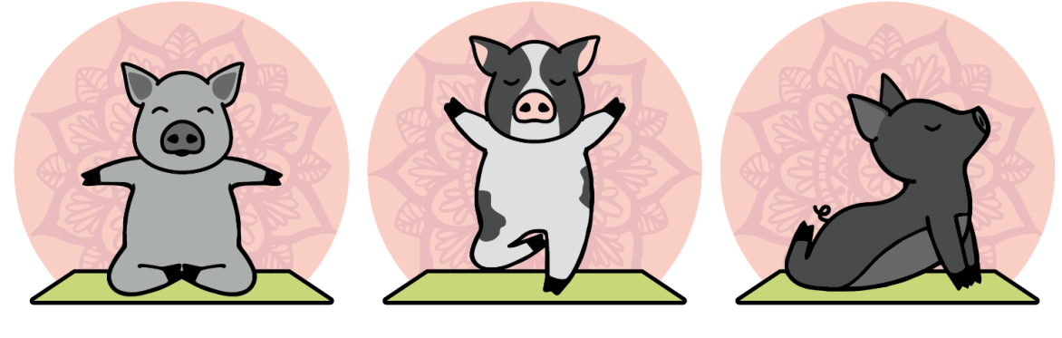 Pig Yoga