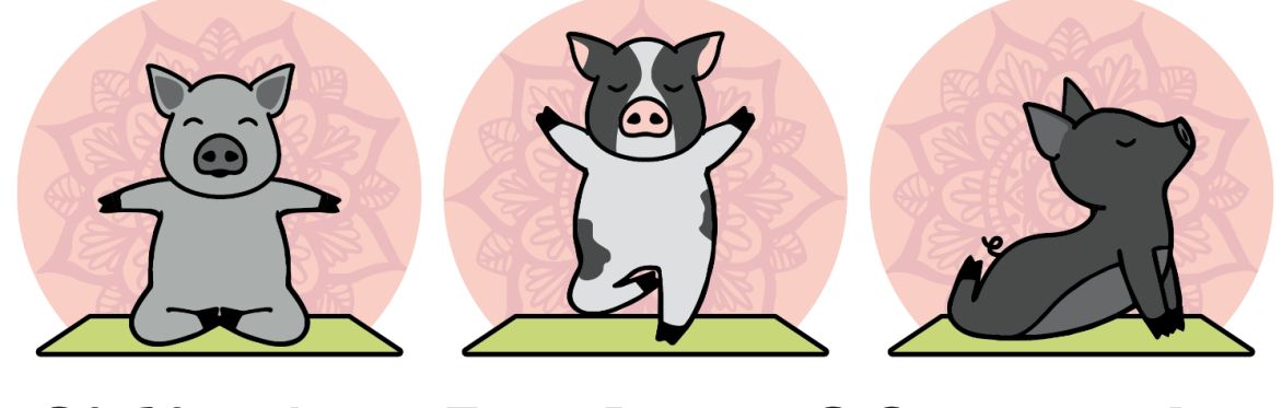 Pig Yoga