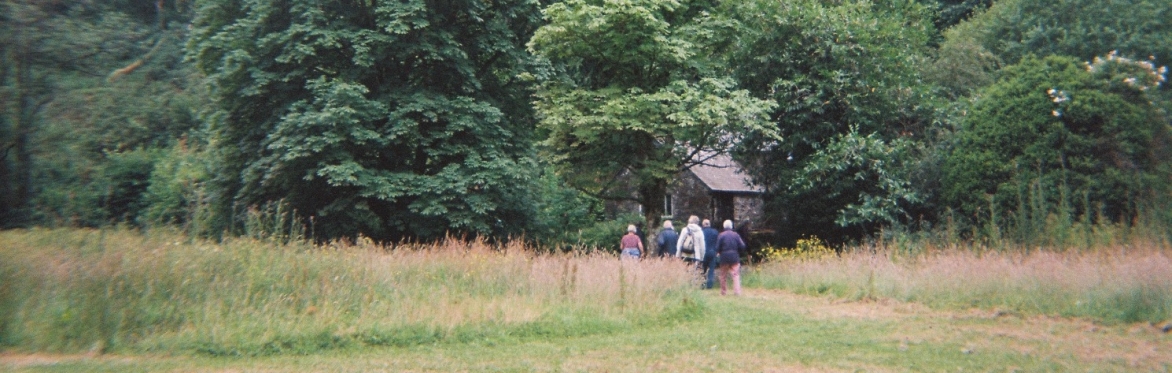 People walking in a field