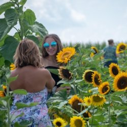 Photographer Sunflower Sessions 2026