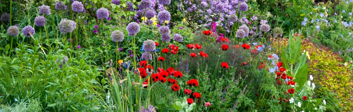 Behind the scenes at Great Dixter - June
