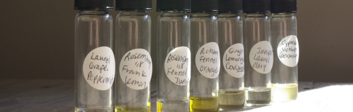 "Butterfly Moontime": A Guided Aromatic Encounter with Amy Anthony