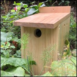 Bird Box Making Workshop