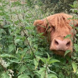 Biodynamic Farming Weekend