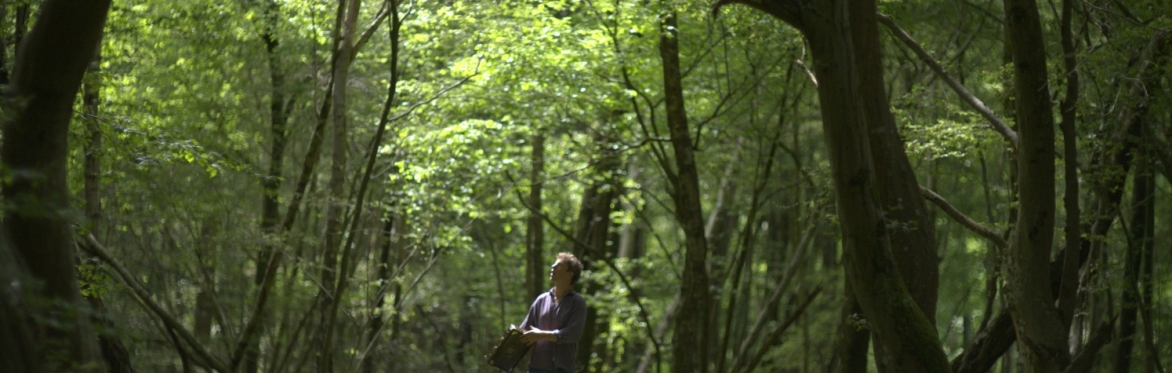 Nature Film - The Nightingale's Song