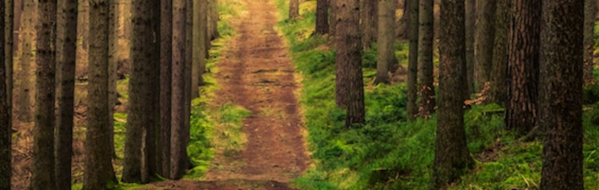 Retirement: Finding Your Path to Wholeness