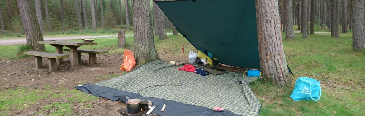 Bushcraft & Shelter Building