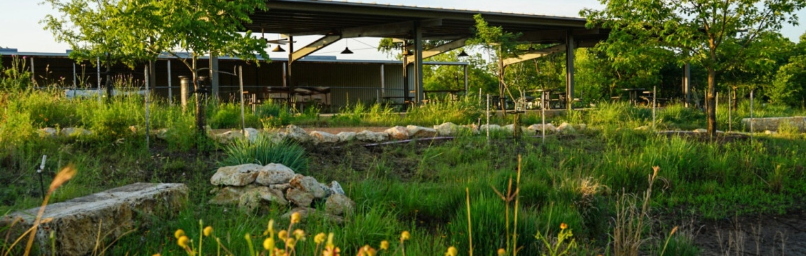 Yoga at the Headwaters