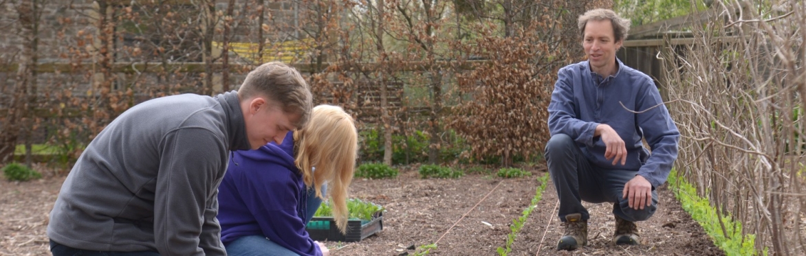 Perennial Crops for Climate Resilience
