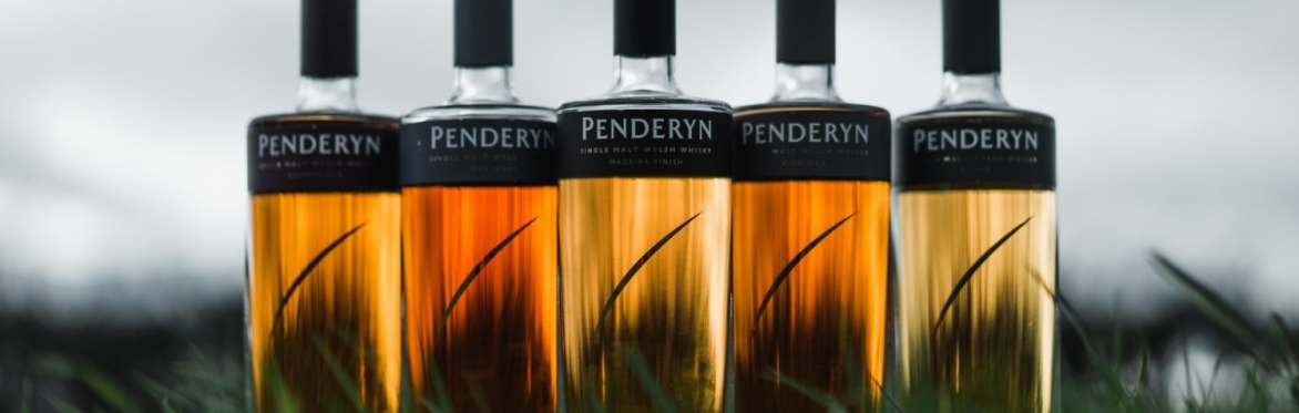 Whisky tasting with Penderyn distillery