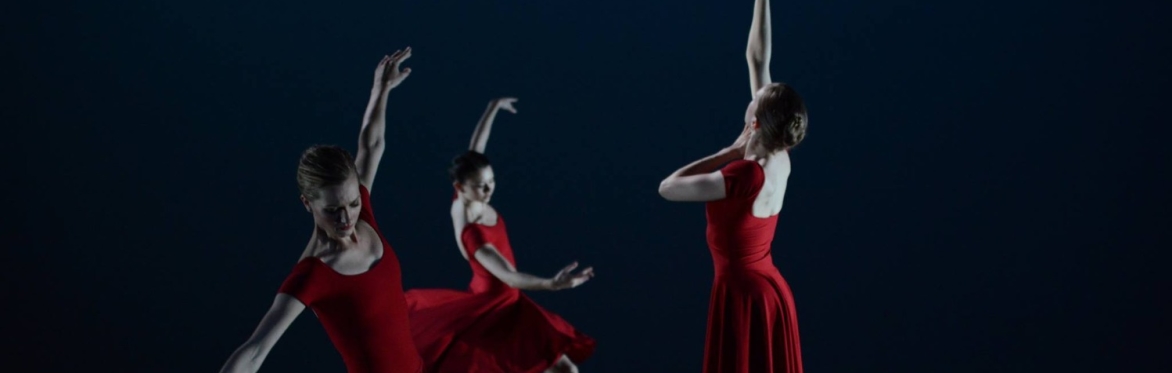 Lydia Johnson Dance New York 2023 Season