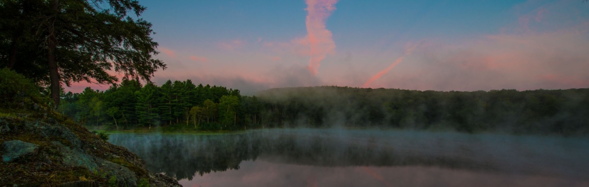 Meteor Shower + Sunrise Viewing + Optional Sunrise Sound Bath