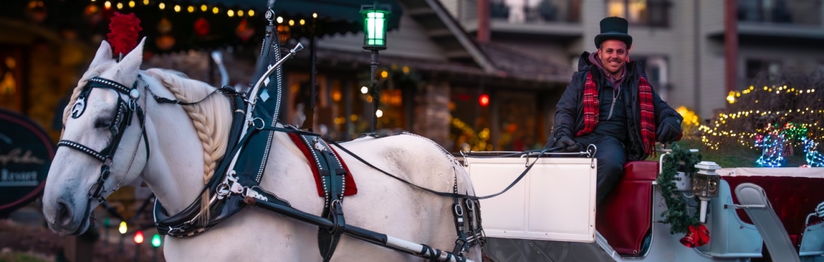Carriage Rides at Chetola Lake