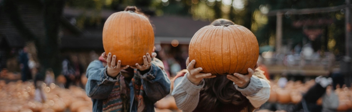 Russborough House Pumpkin Patch