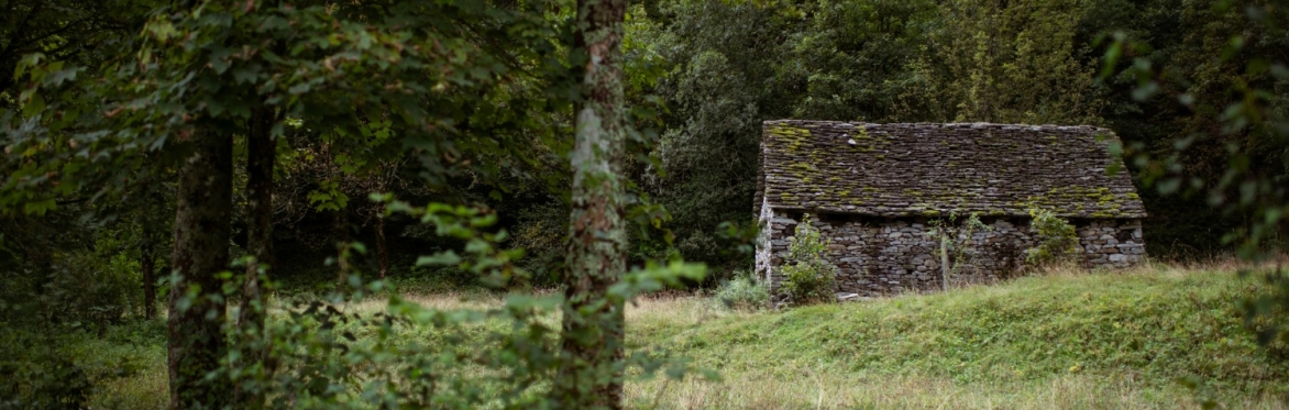 The House in the Wild Woods