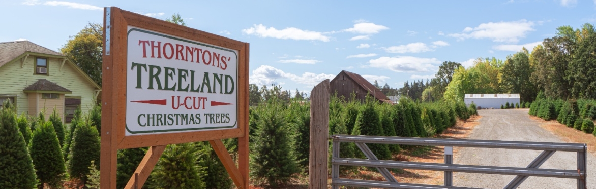 Thorntons' Treeland