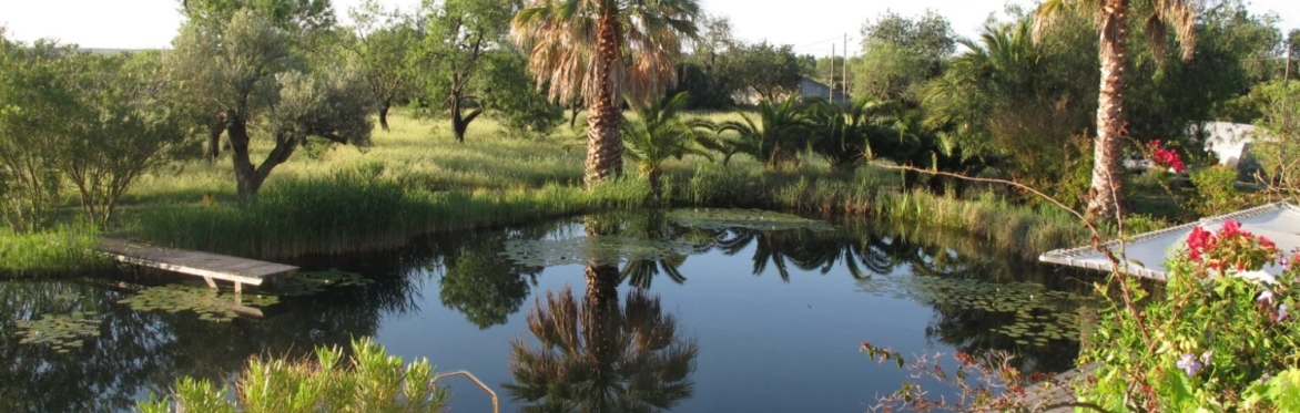 Finding Your Flow Algarve Yoga Retreat