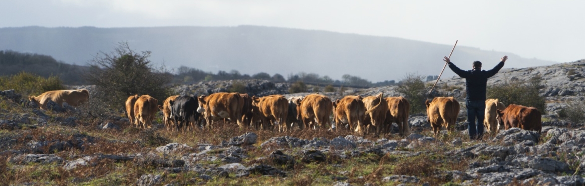 Burren Winterage Weekend 2025