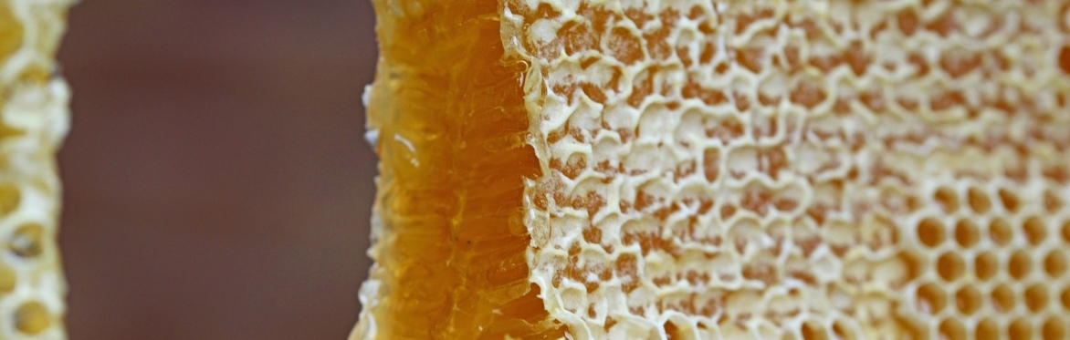 honeycomb