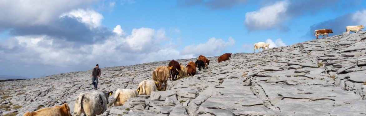 Burren Winterage Weekend 2022