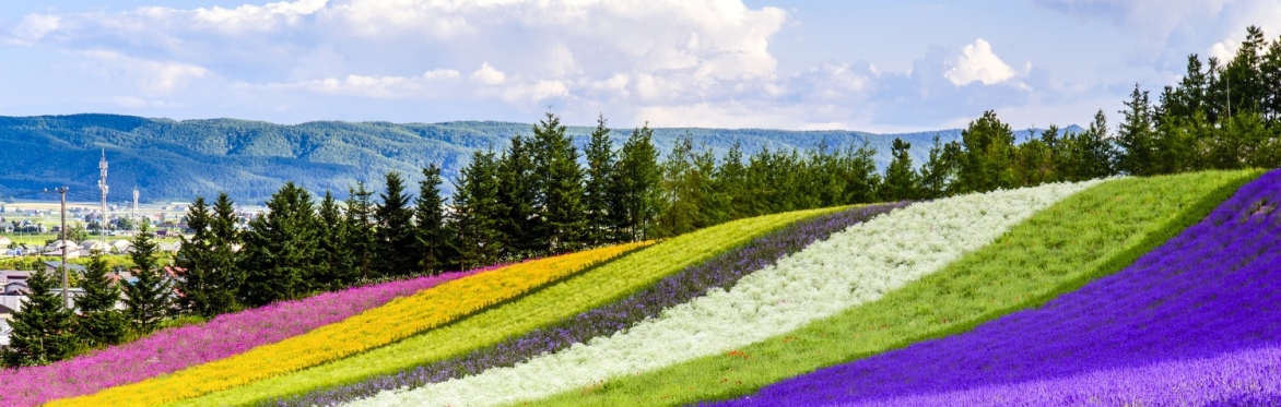 Learn the practice of Creative Field Mapping