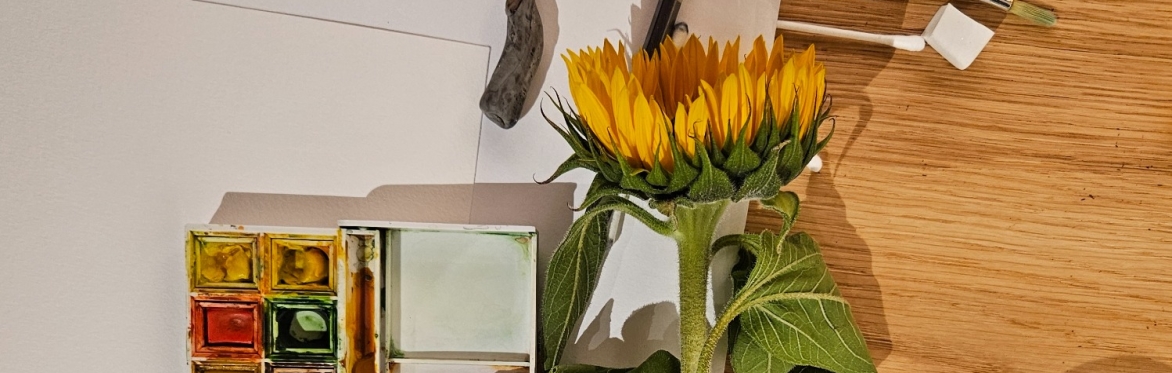 The Floral Lab: Botanical Drawing, Painting & Printing with Sisetta Zappone