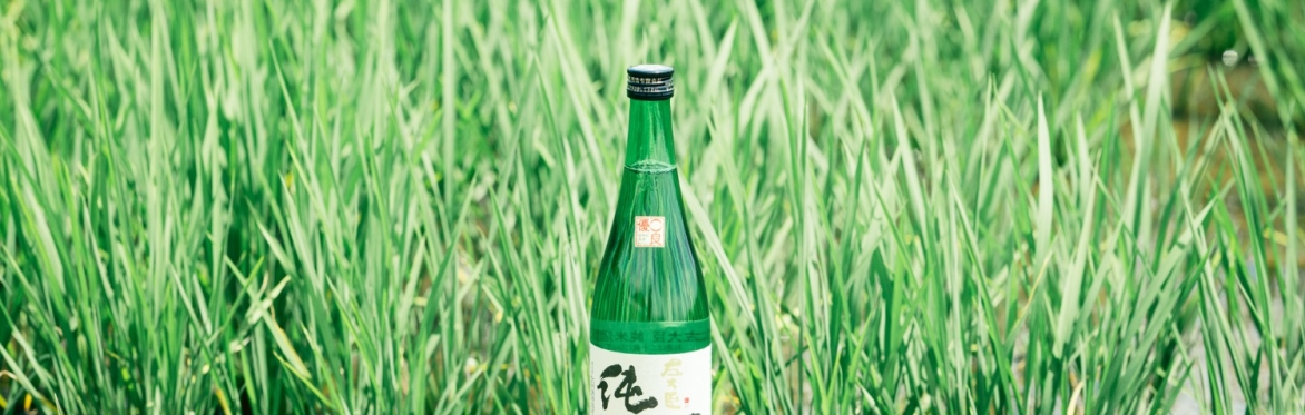 Hanami Celebration at West 16th