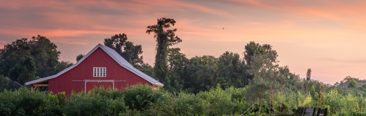 Women Who Explore Farm Tour