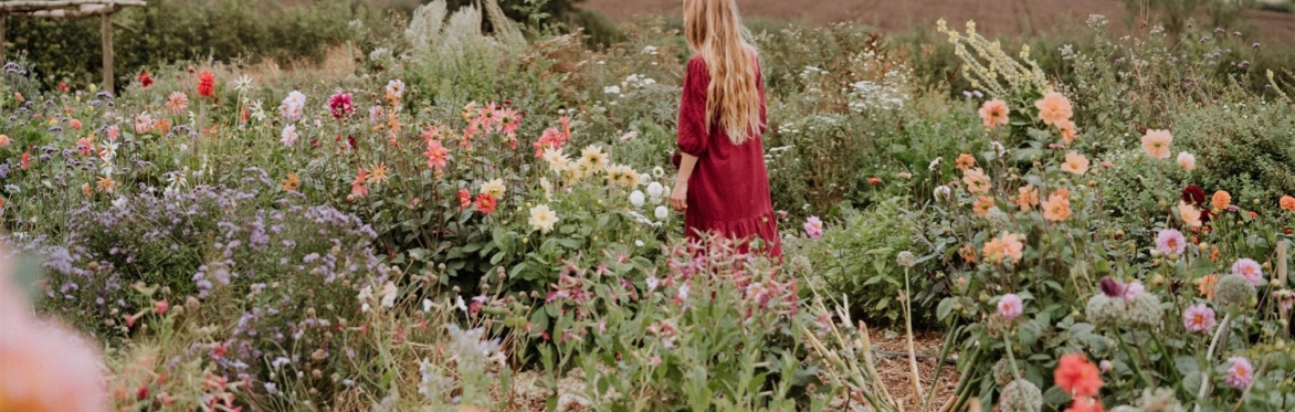 Woman walking amongst flowers at flower farm