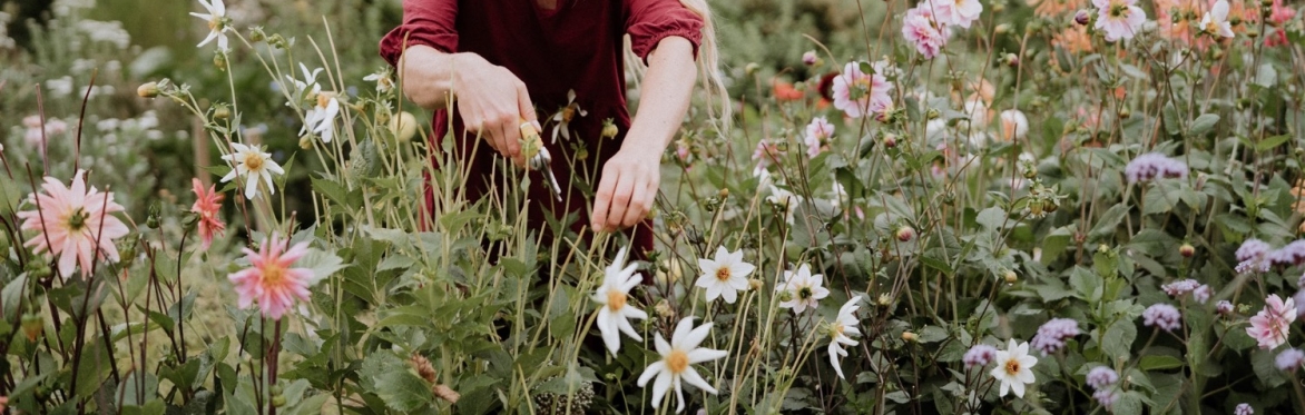 Woman picking flowers in flower garden