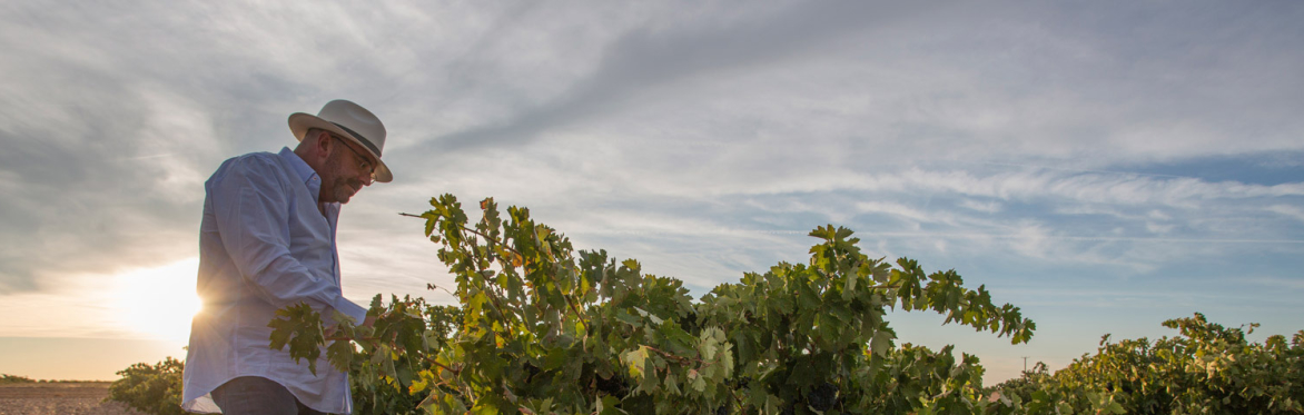 Friday Night Wine School - Touring Spain with Jorge Ordonez Selections