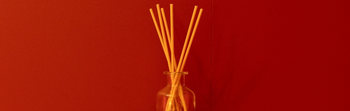 A Journey into Olfactory Art and the World of Smell