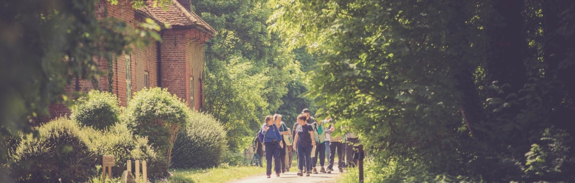 Medicinal Plant & Foraging Walk