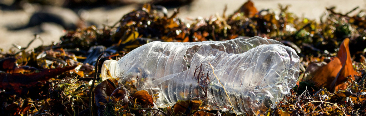 Coastcare Week:  Join the  Station Beach community clean-up!