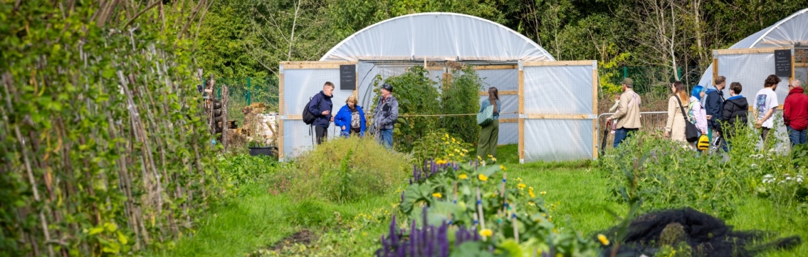 Polytunnel at Northern Roots