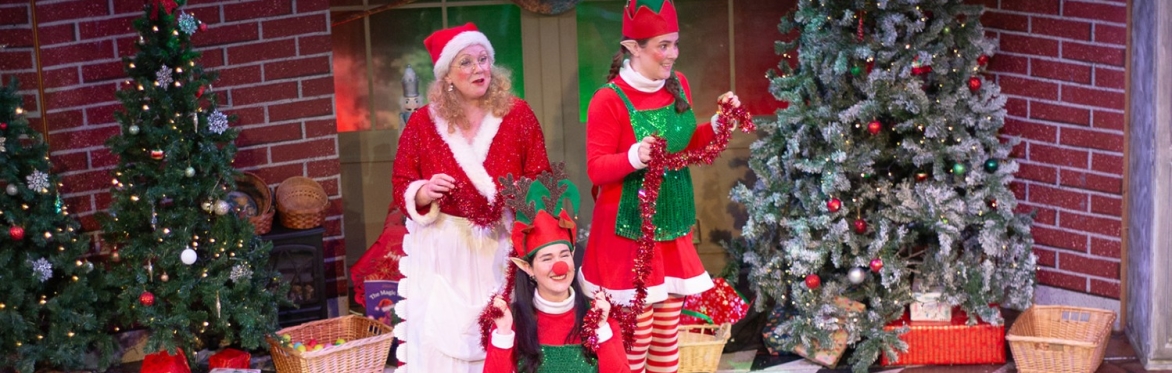 The Elves and the Magic Bear