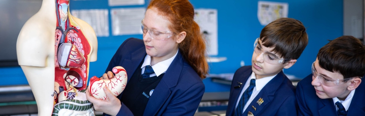 Year 11 Launch Event