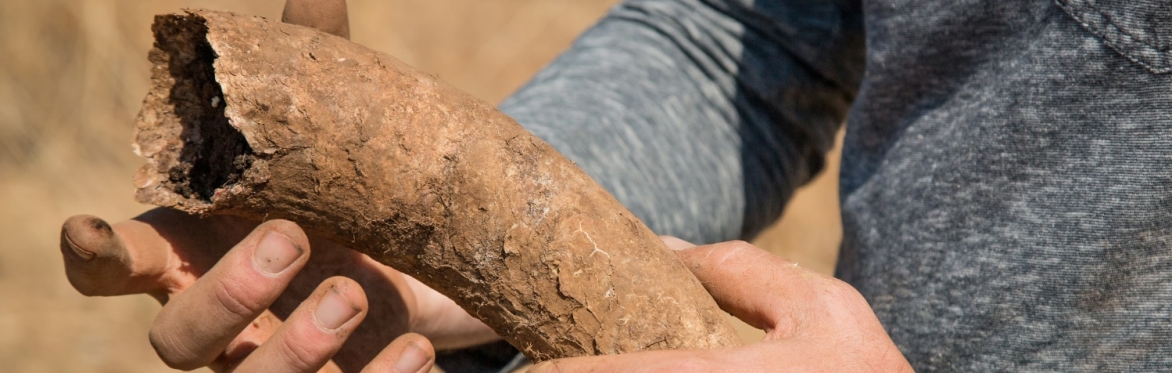 Friday Night Wine School - Biodynamics Remix Series - Cow Horns & Compost, The Preparations