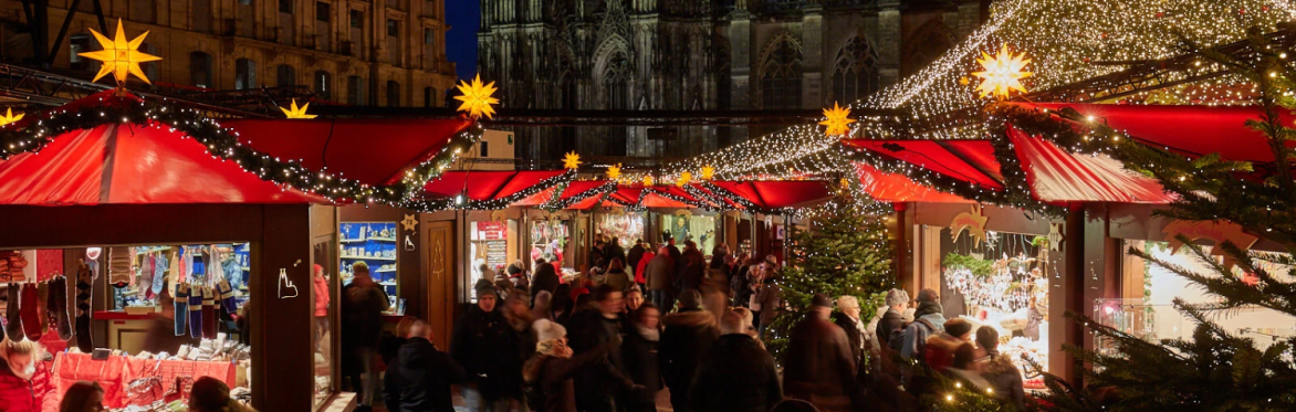 Dutch–German Alumni Networking Event in Cologne