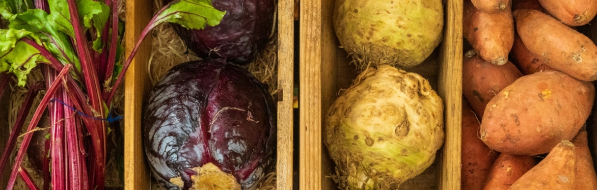Taking Root: Building the Food & Farming Funders Group Together