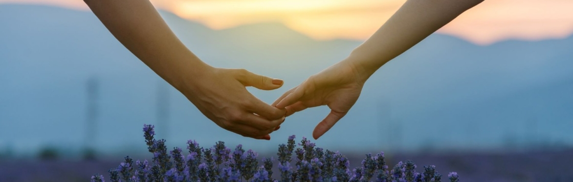 A Beginner's Retreat