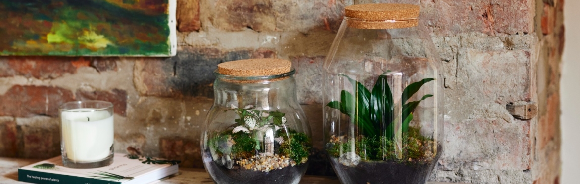 Terrarium Workshop - Halloween 🎃 themed - October 2026