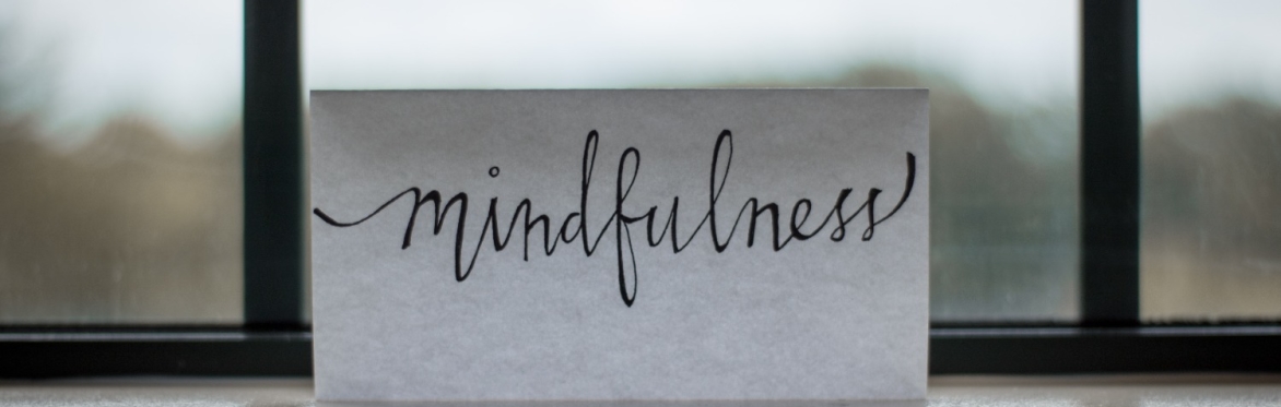 The Mindful Clinician: Deepening Therapeutic Power through Mindfulness and Acceptance Interventions