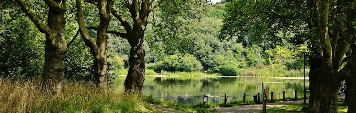 Hampstead Heath path, trees and water