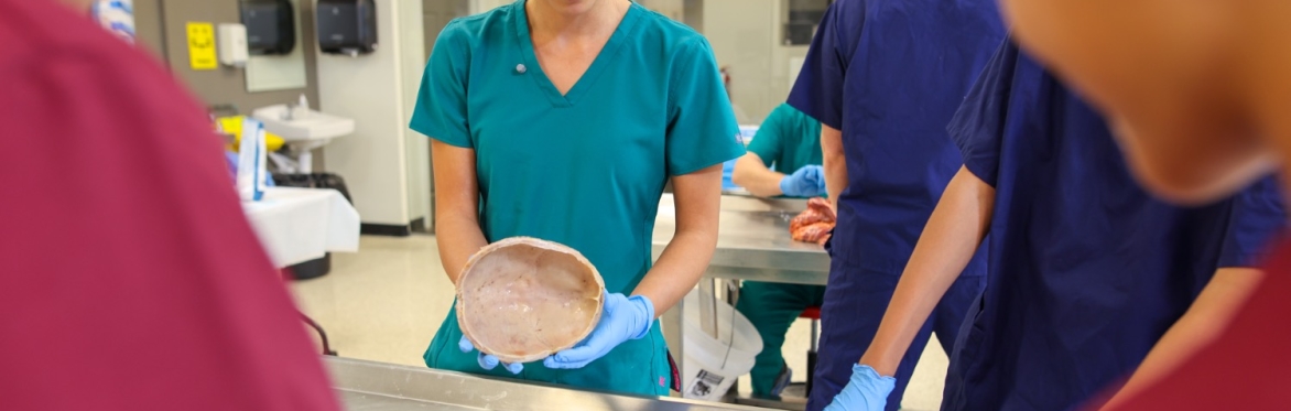 3 Day Human Anatomy Dissection Intensive