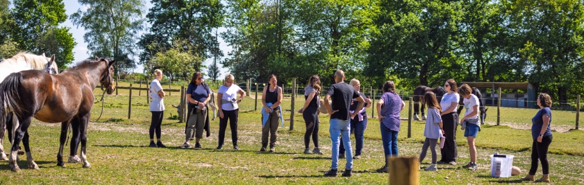 A group of learners are immersed in a learning activity at Altezza HQ. They are in a paddock with Julia Jones, the ALtezza Team and two horse. It is a bring sunny day. The topic is feedback.