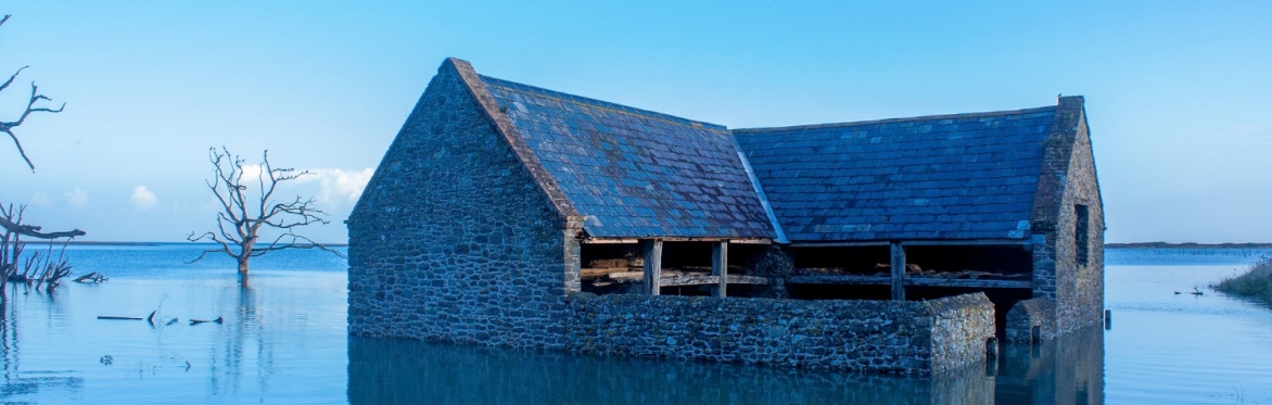 Porlock Marsh high tide credit Nick Simpson