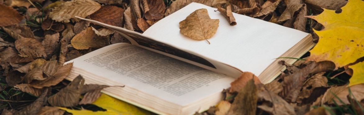 Nature writing workshop with The Pen & I writing group