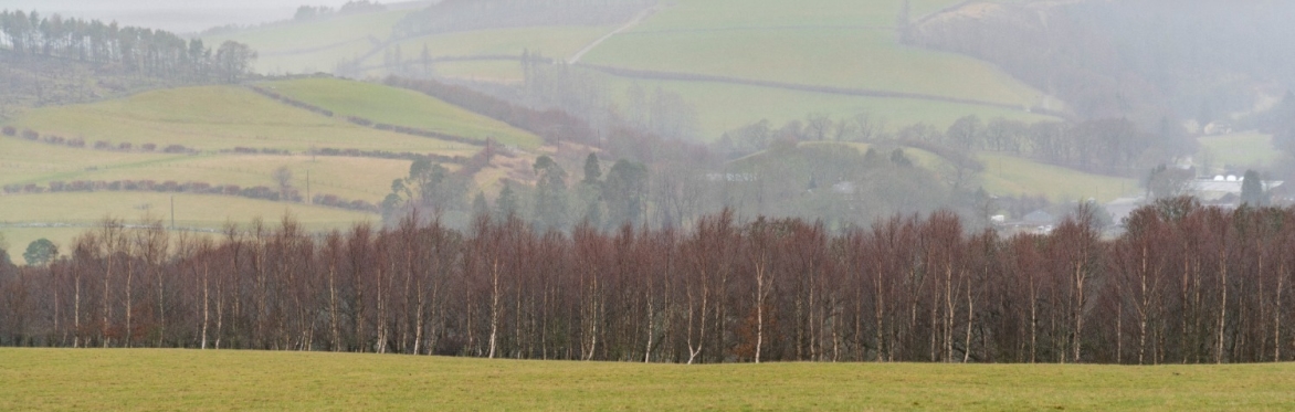Logging Tree Topping Select tickets – From Trees to Timber: Managing Your Woodland Asset ...
